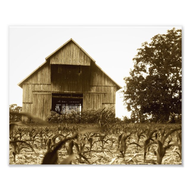 Impression Photo Vieille grange de tabac du Kentucky (Devant)