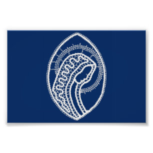 Impression Photo Vierge Marie, dentelle blanche, bleu marine