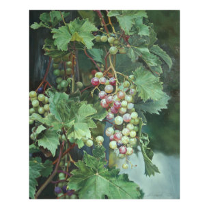 Impression Photo Vigne Réaliste avec Feuilles – Art Fin