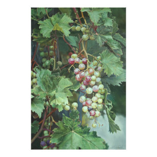 Impression Photo Vigne Réaliste avec Feuilles – Art Fin