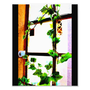 Impression Photo Vigne verte