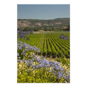 Impression Photo Vignoble et fleurs pourpres