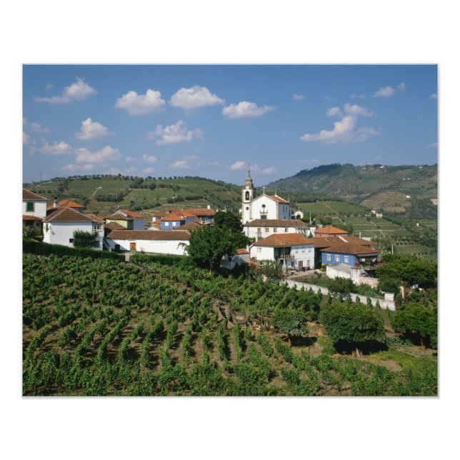 Impression Photo Vignobles, village de San Miguel, Douro (Devant)