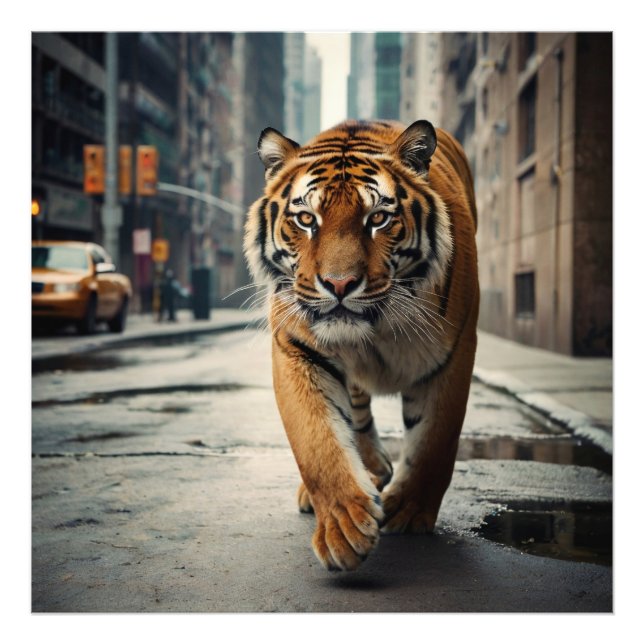 Impression Photo Ville de Tiger (Devant)