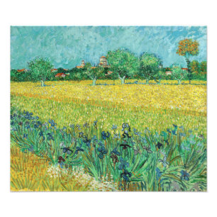 Impression Photo Vincent van Gogh - Champ aux iris près d'Arles