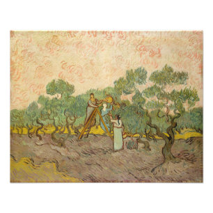 Impression Photo Vincent van Gogh - Femmes cueillette d'olives