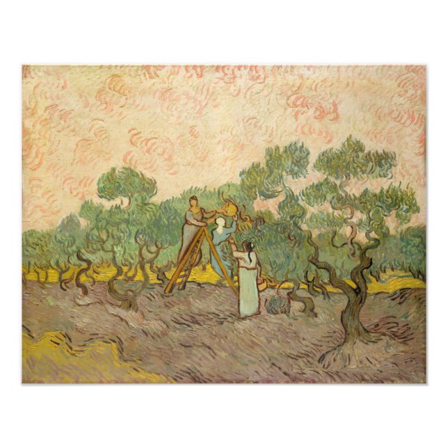 Impression Photo Vincent van Gogh - Femmes cueillette d'olives (Devant)