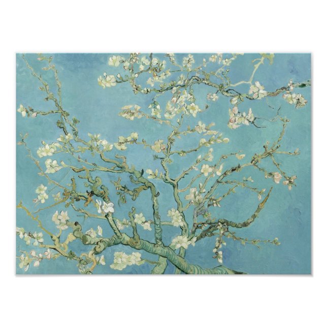 Impression Photo Vincent van Gogh - Fleur d'amandes (Devant)