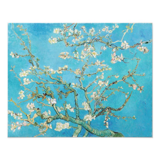 Impression Photo Vincent van Gogh - Fleur d'amandes (Devant)