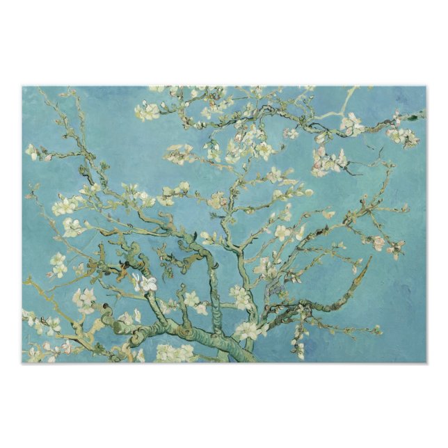 Impression Photo Vincent van Gogh - Floraison des amandiers (Devant)