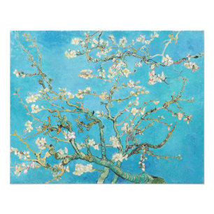Impression Photo Vincent van Gogh - Floraison des amandiers