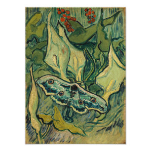 Impression Photo Vincent van Gogh - Grand Paon de nuit