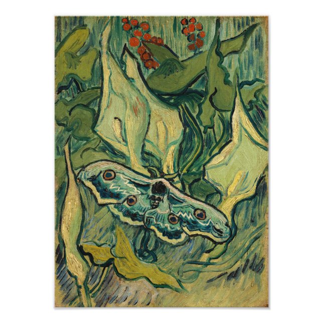 Impression Photo Vincent van Gogh - Grand Paon de nuit (Devant)