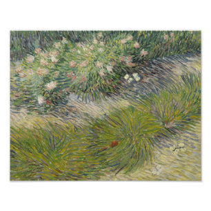 Impression Photo Vincent van Gogh - Herbes et papillons