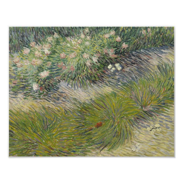 Impression Photo Vincent van Gogh - Herbes et papillons (Devant)