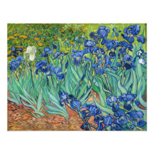 Impression Photo Vincent Van Gogh - Iris
