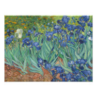 Vincent van Gogh - Irises