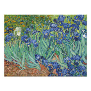 Impression Photo Vincent van Gogh - Irises