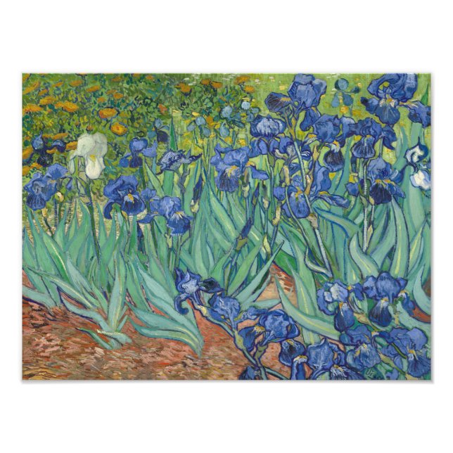 Impression Photo Vincent van Gogh - Irises (Devant)