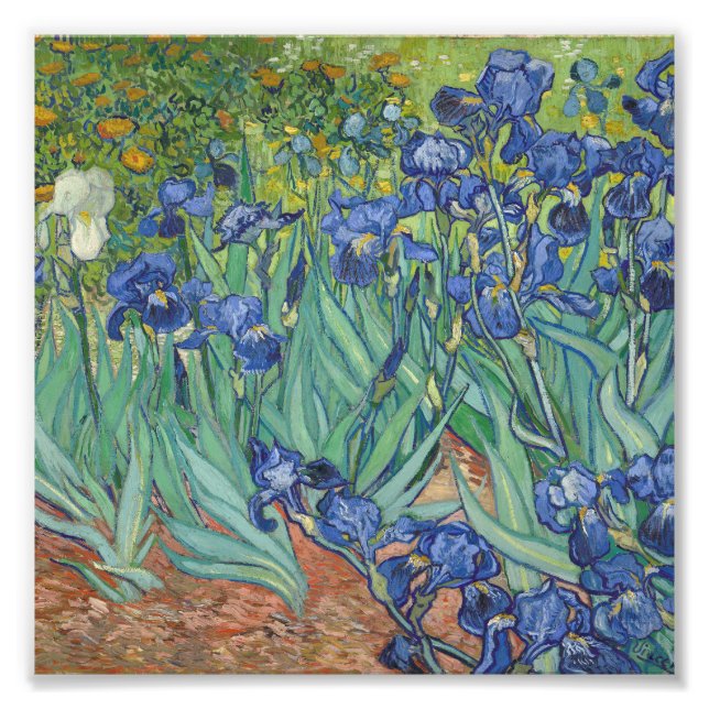 Impression Photo Vincent Van Gogh - Irises (Devant)