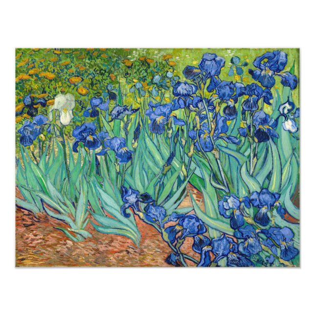 Impression Photo Vincent Van Gogh - Irises (Devant)
