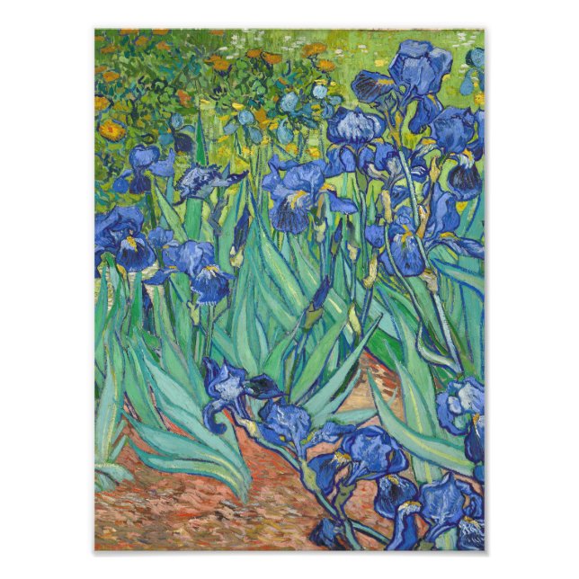 Impression Photo Vincent Van Gogh - Irises (Devant)