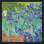 Impression Photo Vincent Van Gogh - Irises 1889<br><div class="desc">Vincent Van Gogh - Irises 1889</div>