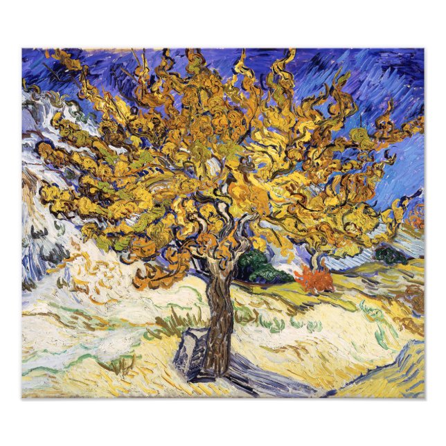Impression Photo Vincent van Gogh - Le Mulberry Tree (Devant)