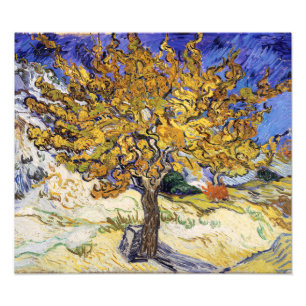 Impression Photo Vincent van Gogh - Le Mûrier