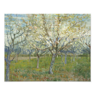 Impression Photo Vincent van Gogh - Le verger rose