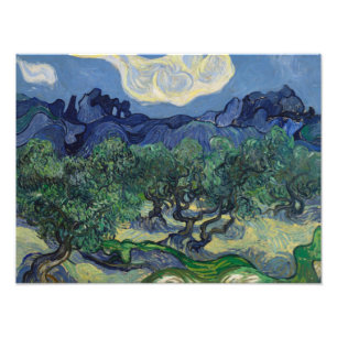 Impression Photo Vincent van Gogh - Les oliviers