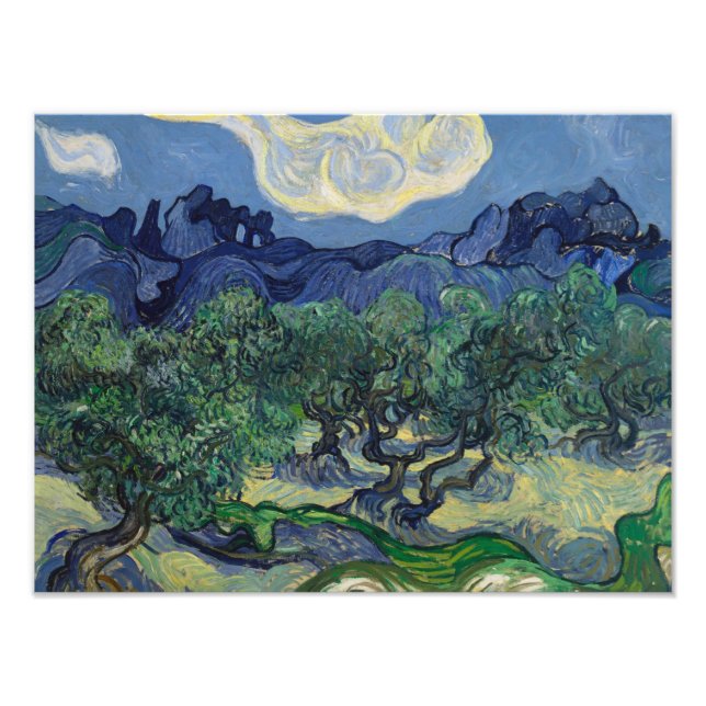 Impression Photo Vincent van Gogh - Les oliviers (Devant)