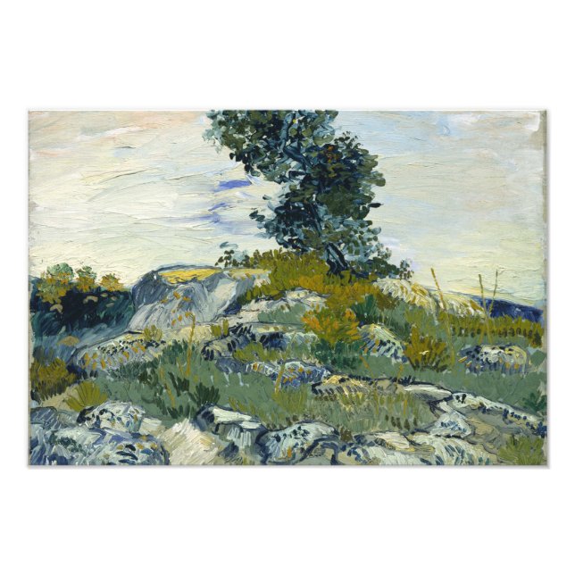 Impression Photo Vincent van Gogh - Les Rochers (Devant)