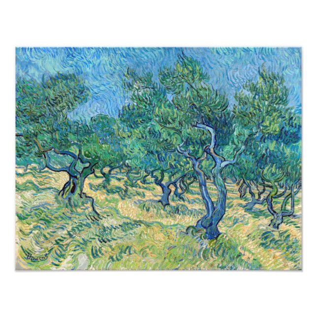 Impression Photo Vincent van Gogh - Olive Grove (Devant)