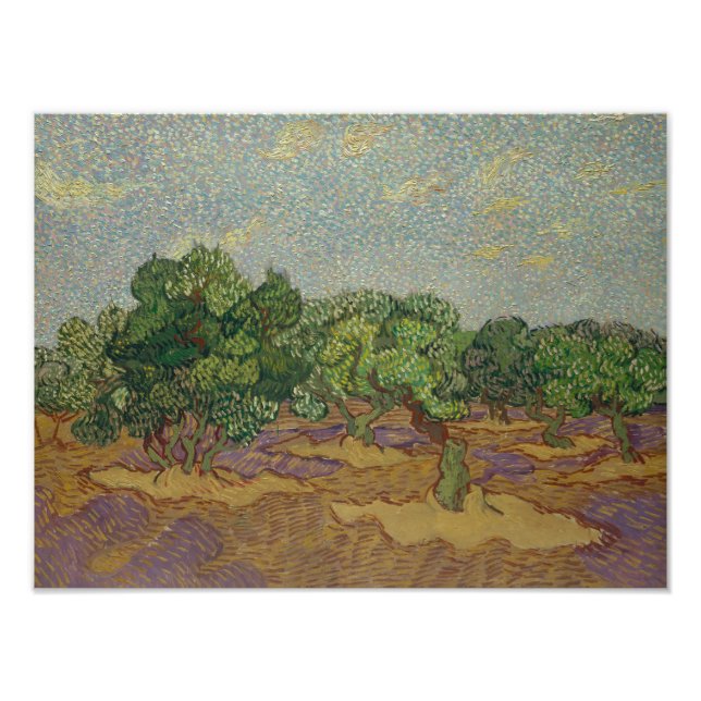 Impression Photo Vincent van Gogh - Olive Trees (Devant)