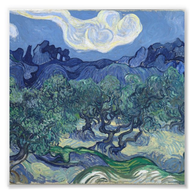 Impression Photo Vincent Van Gogh - Oliviers aux Alpilles (Devant)