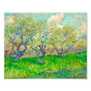 Impression Photo Vincent van Gogh Orchard à Blossom