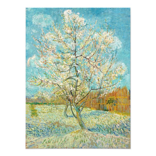 Impression Photo Vincent van Gogh - Poche rose en fleurs (Devant)