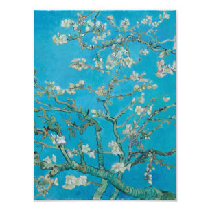 Impression Photo Vincent Van Gogh - Succursales à fleurs d'amandes,