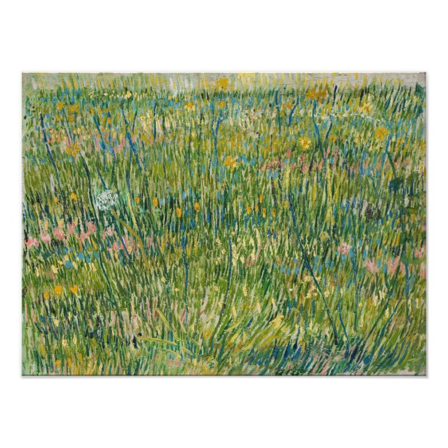 Impression Photo Vincent van Gogh - Tache d'herbe (Devant)