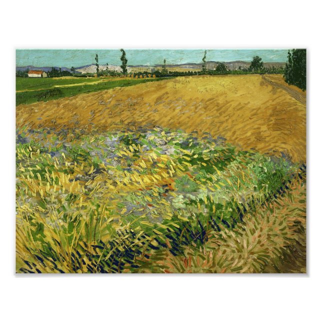 Impression Photo Vincent van Gogh - Wheatfield (Devant)