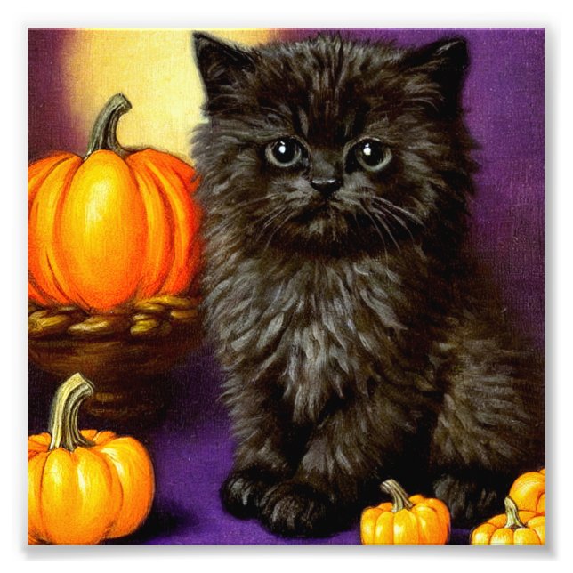 Impression Photo Vintage Halloween Kitten (Devant)