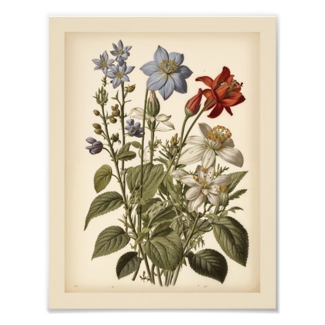 Impression Photo Vintage illustration of wildflowers  (Devant)