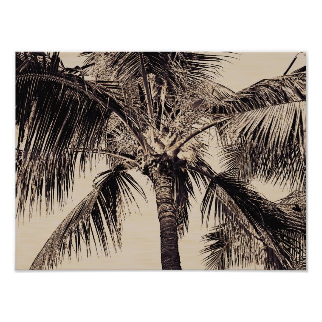 Impression Photo Vintage Sepia Retro Hawaiian Palm Tree Modèle (Devant)