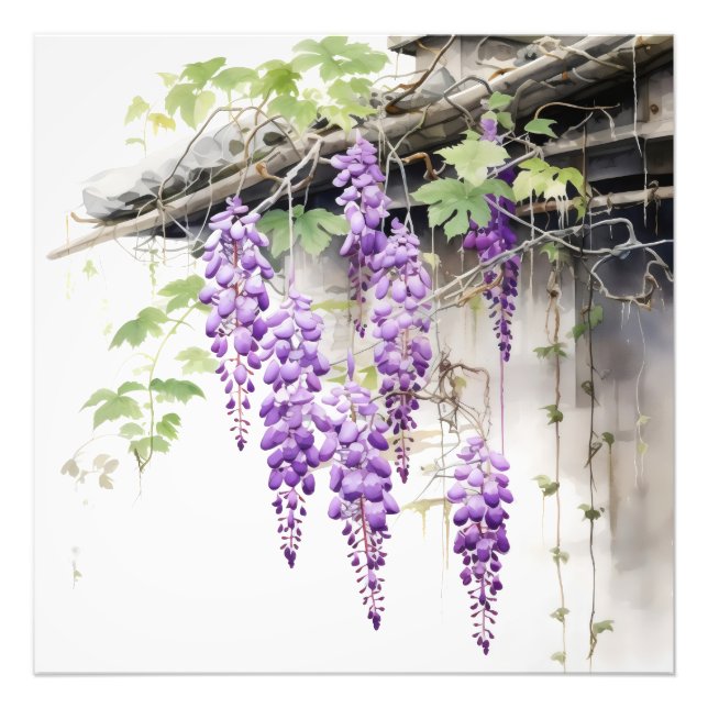 Impression Photo Violet Floral Nature (Devant)