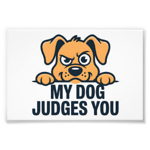 Impression Photo Visage de Chien Judicieux Citation Drôle Sarcastiq