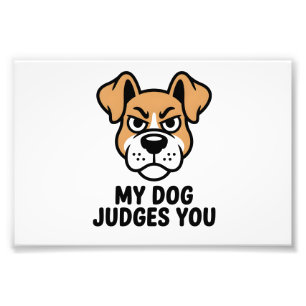 Impression Photo Visage de Chien Jugeant Gras Citation Sarcasique