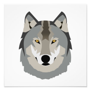 Impression Photo Visage de loup gris mignon et Cool, animal illustr