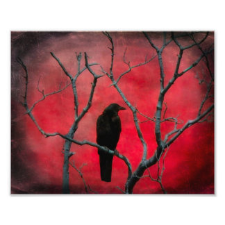 Impression Photo Vision rouge