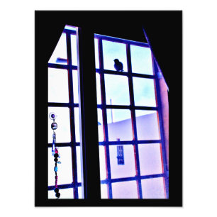 Impression Photo Visite spéciale